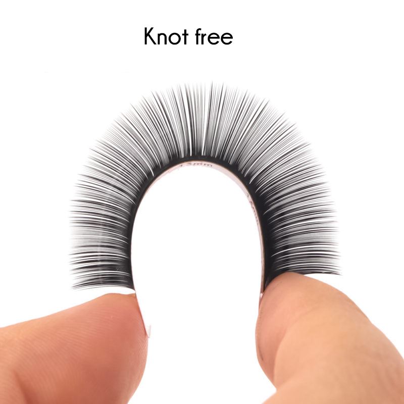 free lashes